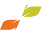 Braamhaar Ankoné