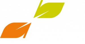 Braamhaar Ankoné